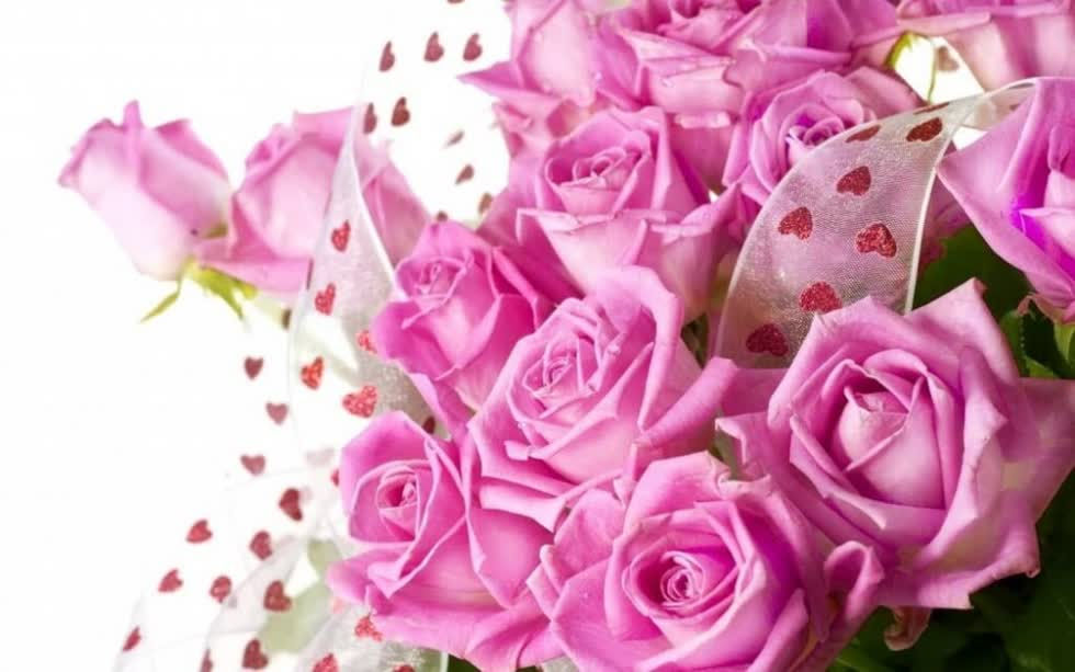 Ý nghĩa màu sắc và số lượng của từng loại hoa hồng trong tình yêu