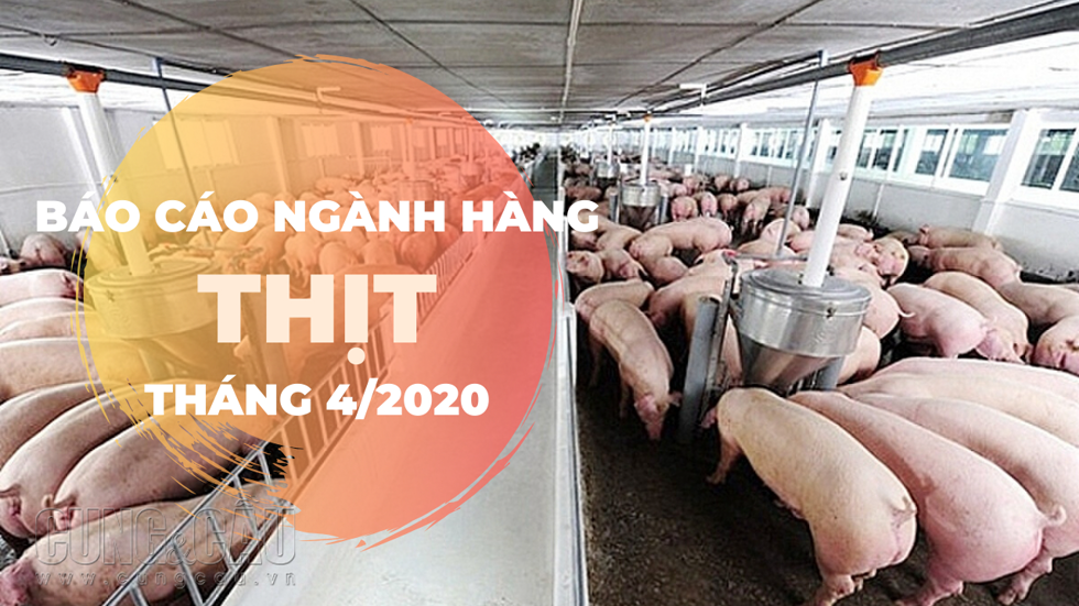  Báo cáo ngành hàng  thịt cuối tháng 4/2020: Quy mô đàn lợn cả nước giảm.