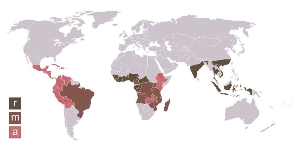 Bản đồ phân bố của cà phê Arabica và Robusta (r) khu vực trồng Robusta, (a) khu vực trồng Arabica, (m) canh tác cả hai loại.