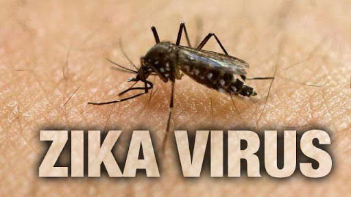 Zika và sốt xuất huyết có chung véc tơ truỳen hình, do vậy, các duy nhất là  diệt muỗi , lăng quăng. 