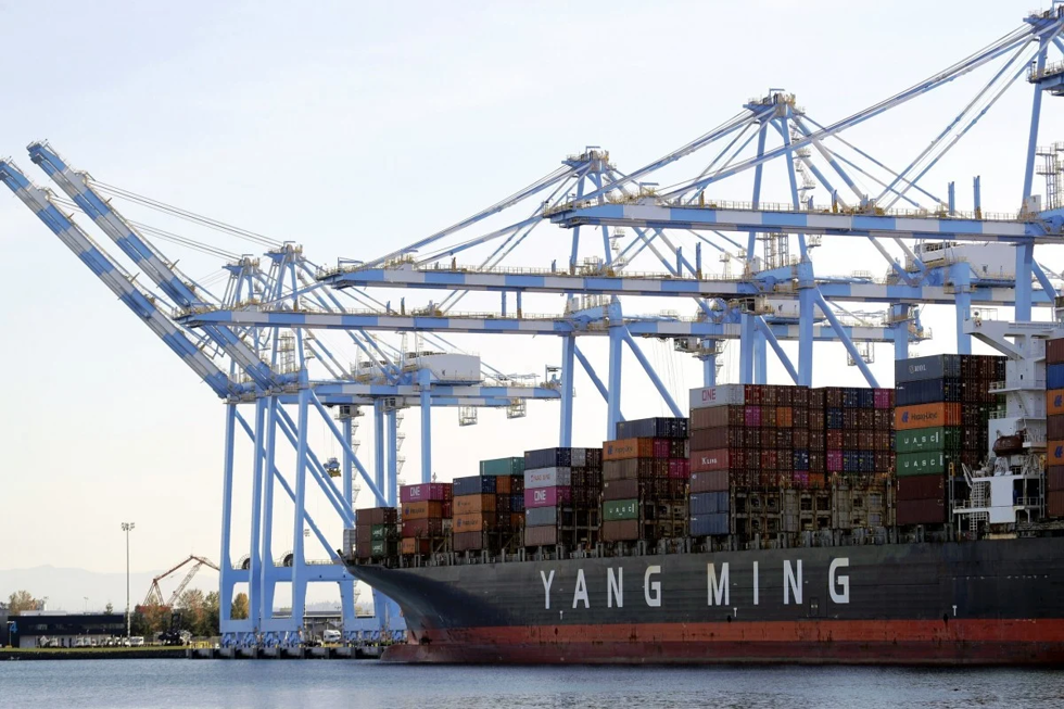 Cần cẩu được sử dụng để đưa container ra khỏi tàu vận tải biển Yang Ming tại cảng Tacoma ở Washington năm 2019. Ảnh: AP