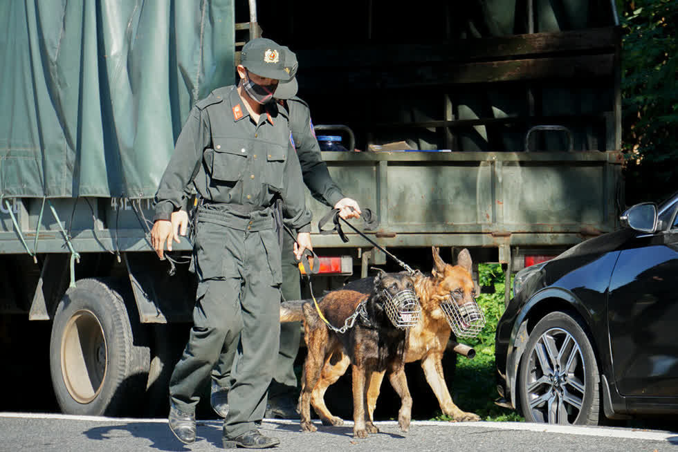 Lực lượng chức năng dùng chó nghiệp vụ để truy bắt phạm nhân  vượt ngục  trên  đèo Hải Vân . Ảnh: Vnexpress.