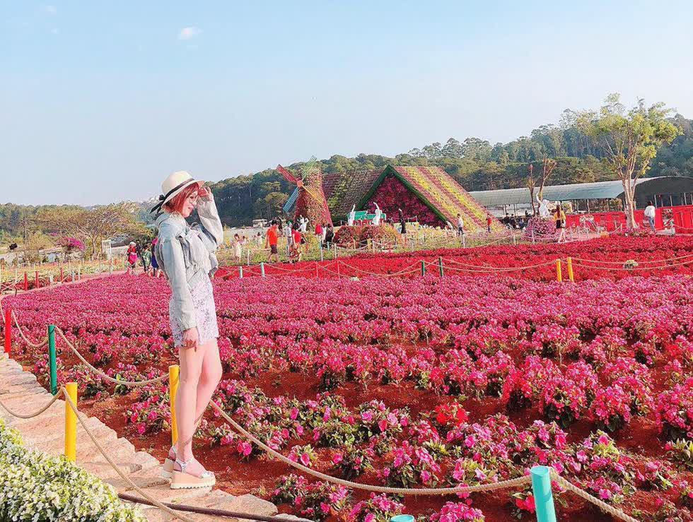 Lạc vào thiên đường cổ tích tại Đà Lạt mờ sương