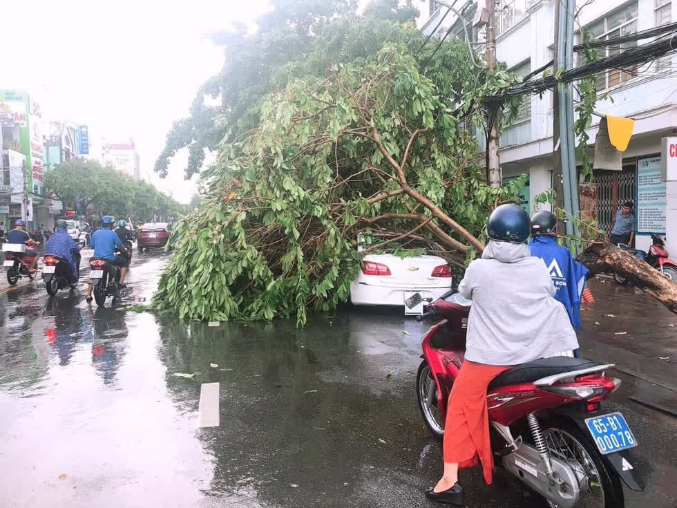 Một ô tô khác cũng bị cây ngã đè giữa đường khiến giao thông bị ùm tắc.