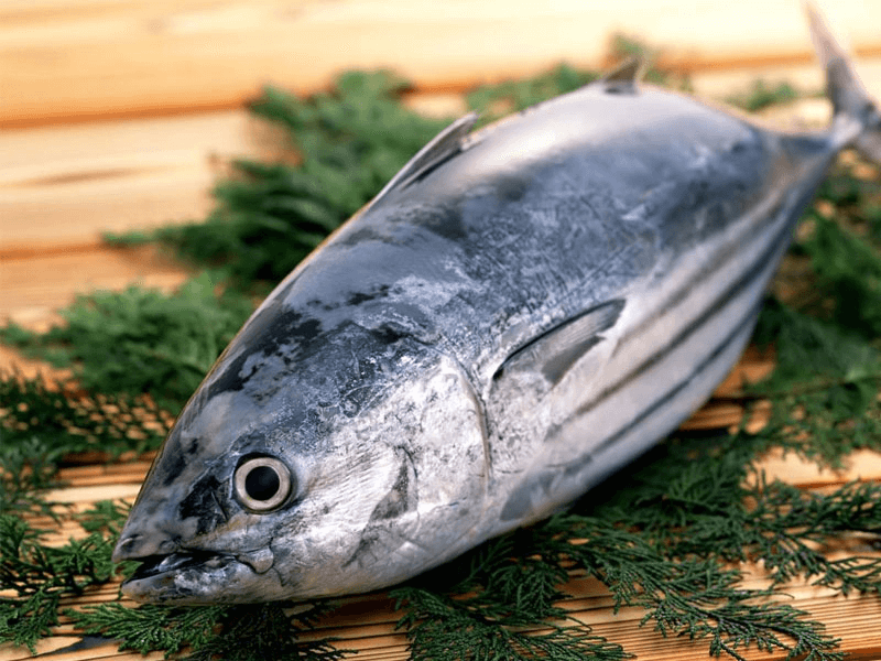 Nhập khẩu cá ngừ liên tục tăng. 