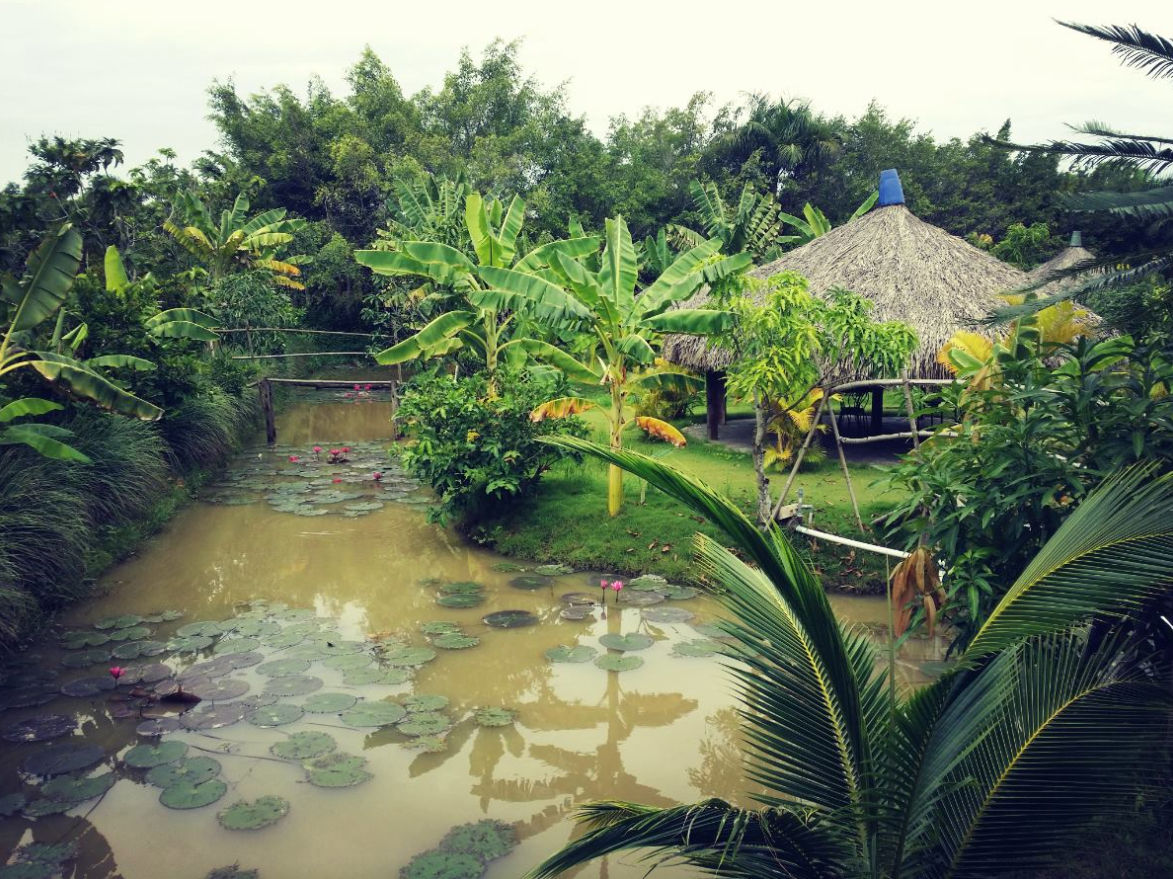 Hình ảnh khu du lịch Nhà vườn Long Phước gần Sài Gòn. Ảnh: Internet 