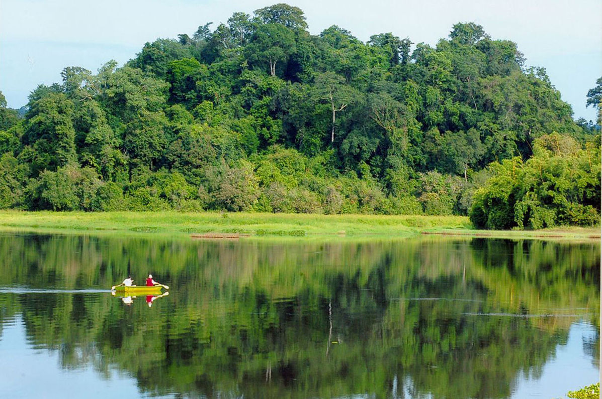 Khám phá khu du lịch sinh thái gần Hồ Chí Minh Vườn quốc gia Cát Tiên. Ảnh: Internet 