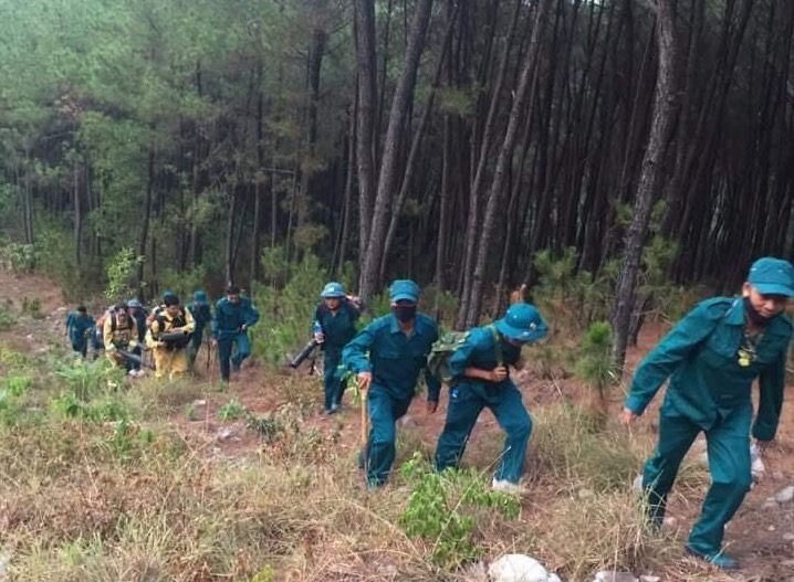 Lực lượng chức năng được huy động đến dập tắt đám cháy để cứu rừng.