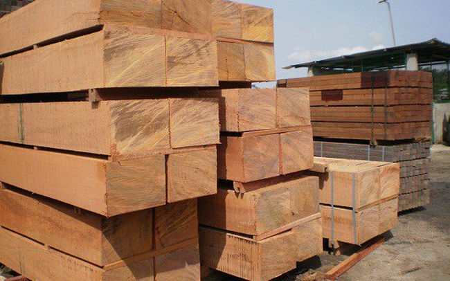 Châu Phi là một trong những nhà cung cấp gỗ tròn và gỗ xẻ hàng đầu của Việt Nam.