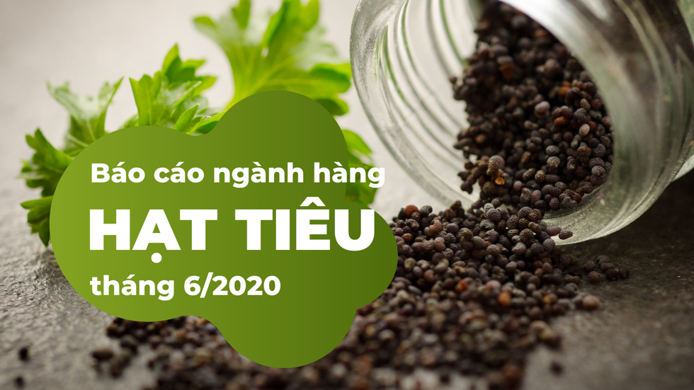 Báo cáo ngành hàng tiêu cuối tháng 6/2020: Xuất khẩu tiếp tục giảm