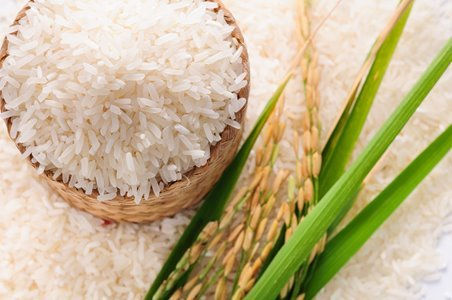 Giá gạo xuất khẩu Việt Nam hiện cao nhất thế giới
