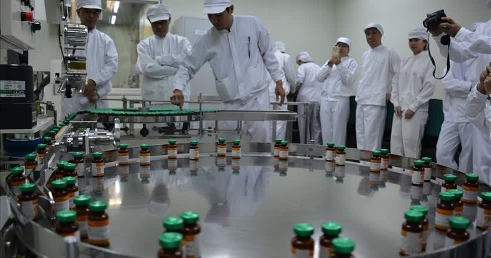 Việt Nam phối hợp với một số cơ quan của Mỹ nghiên cứu sản xuất vắc xin dịch tả heo châu Phi (Ảnh minh họa).