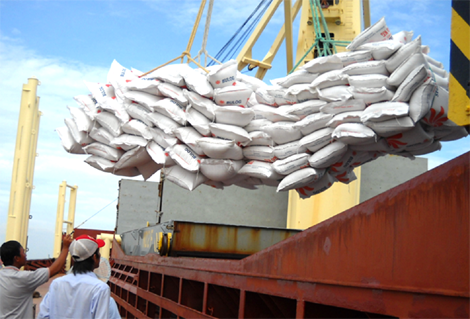 Gạo là mặt hàng chính xuất khẩu sang Senegal.