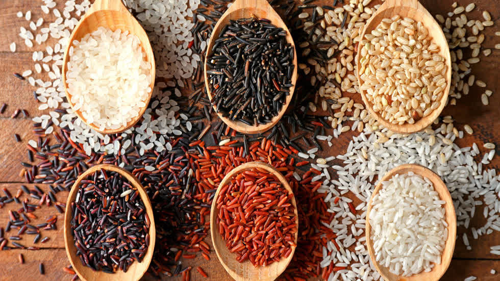 Top 10 loại gạo ngon được người tiêu dùng ưa chuộng nhất