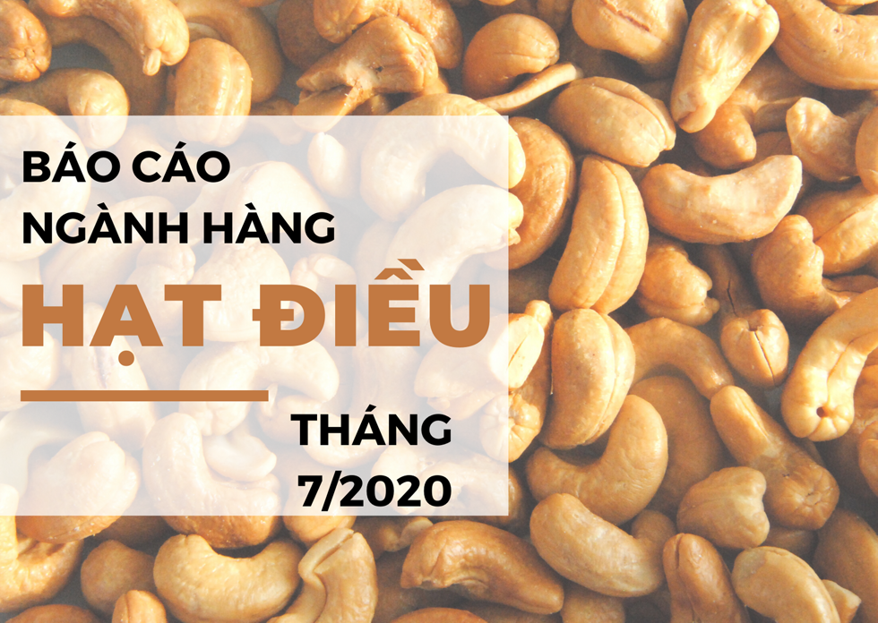 Báo cáo ngành hàng hạt điều tháng 7/2020: Dự báo xuất khẩu quý III/2020 giảm mạnh