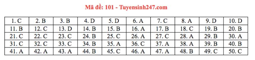 Đáp án môn Toán THPT Quốc gia 2020: Mã đề 101  