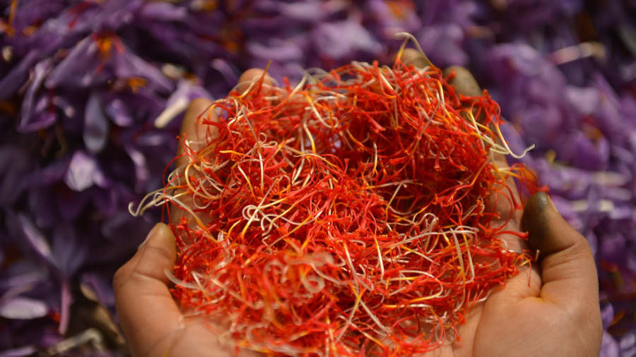   Nhụy hoa nghệ tây là loại gia vị phổ biến và đã được trồng ở thị trấn Pampore (bang Jammu và Kashmir) trong hàng trăm năm qua. Gia vị này còn được xem là 
