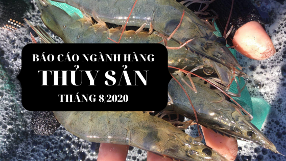 Báo cáo ngành hàng thủy sản tháng 8/2020: Xuất khẩu tôm, mực, cua tăng mạnh.