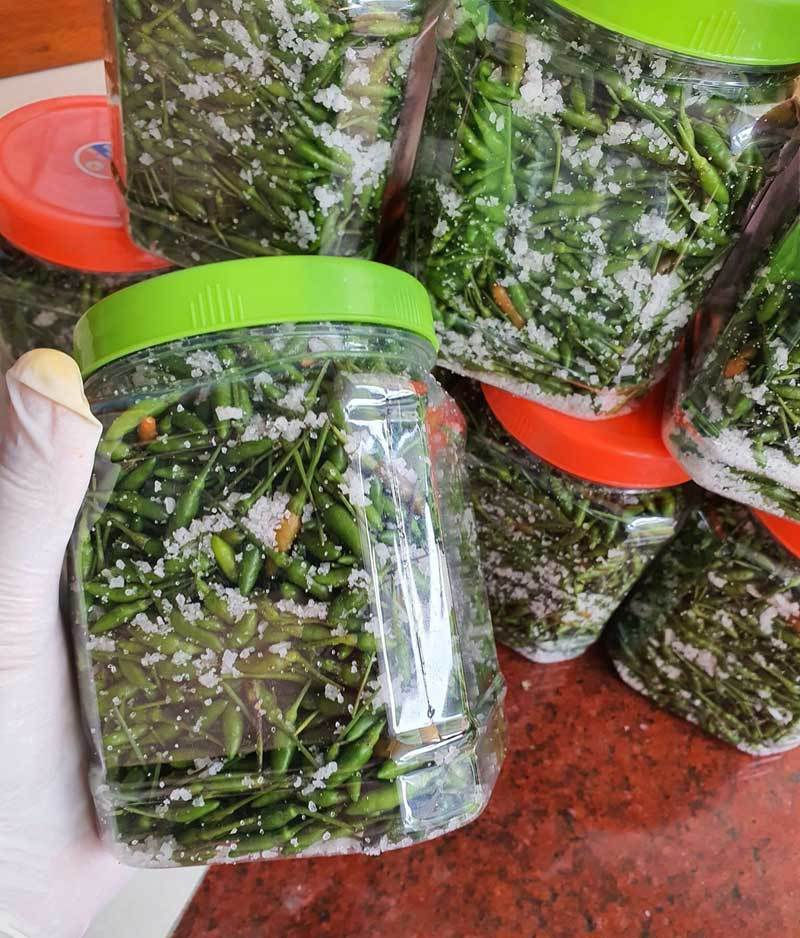 Trên thị trường, ớt gió có giá dao động từ 350.000-1.000.000 đồng/kg tùy loại.
