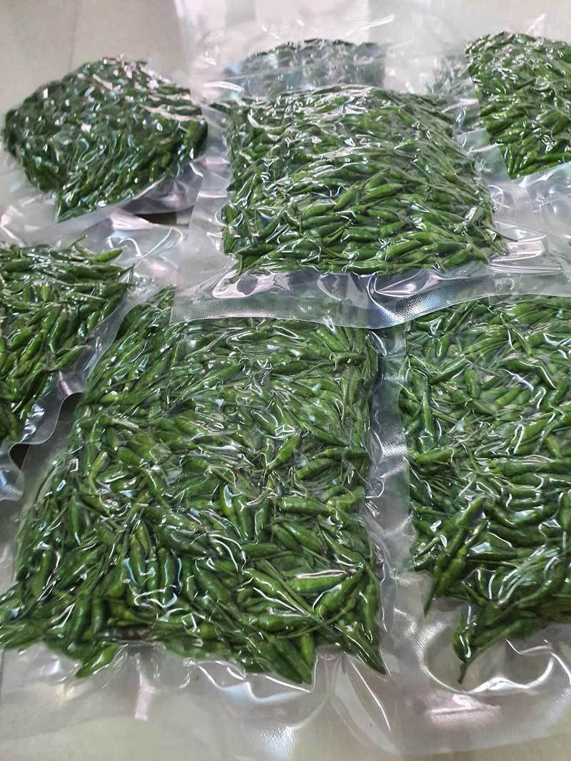 Vào đúng mùa mọi người thường tranh thủ mua ớt gió tươi về ăn