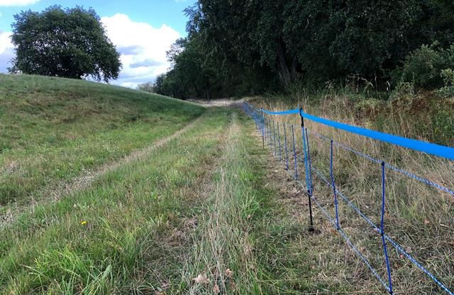   Một hàng rào động vật hoang dã màu xanh dọc theo biên giới giữa miền đông nước Đức và miền tây Ba Lan được vẽ sau khi một trường hợp bệnh dịch tả lợn châu Phi (ASF) ở một con lợn rừng được xác nhận ở Guben, Đức, ngày 10/9/2020. Ảnh: Reuters.  