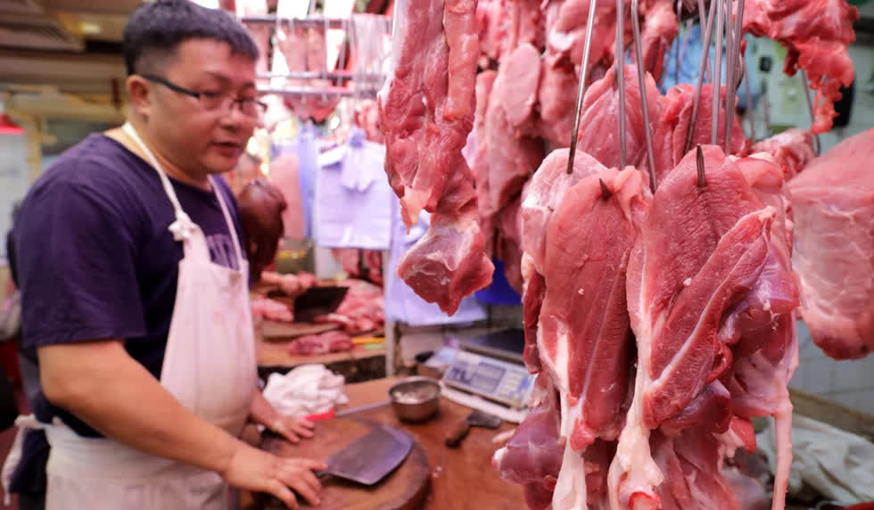 Tỷ lệ tái đàn heo đang chậm do lo ngại dịch tả heo châu Phi.