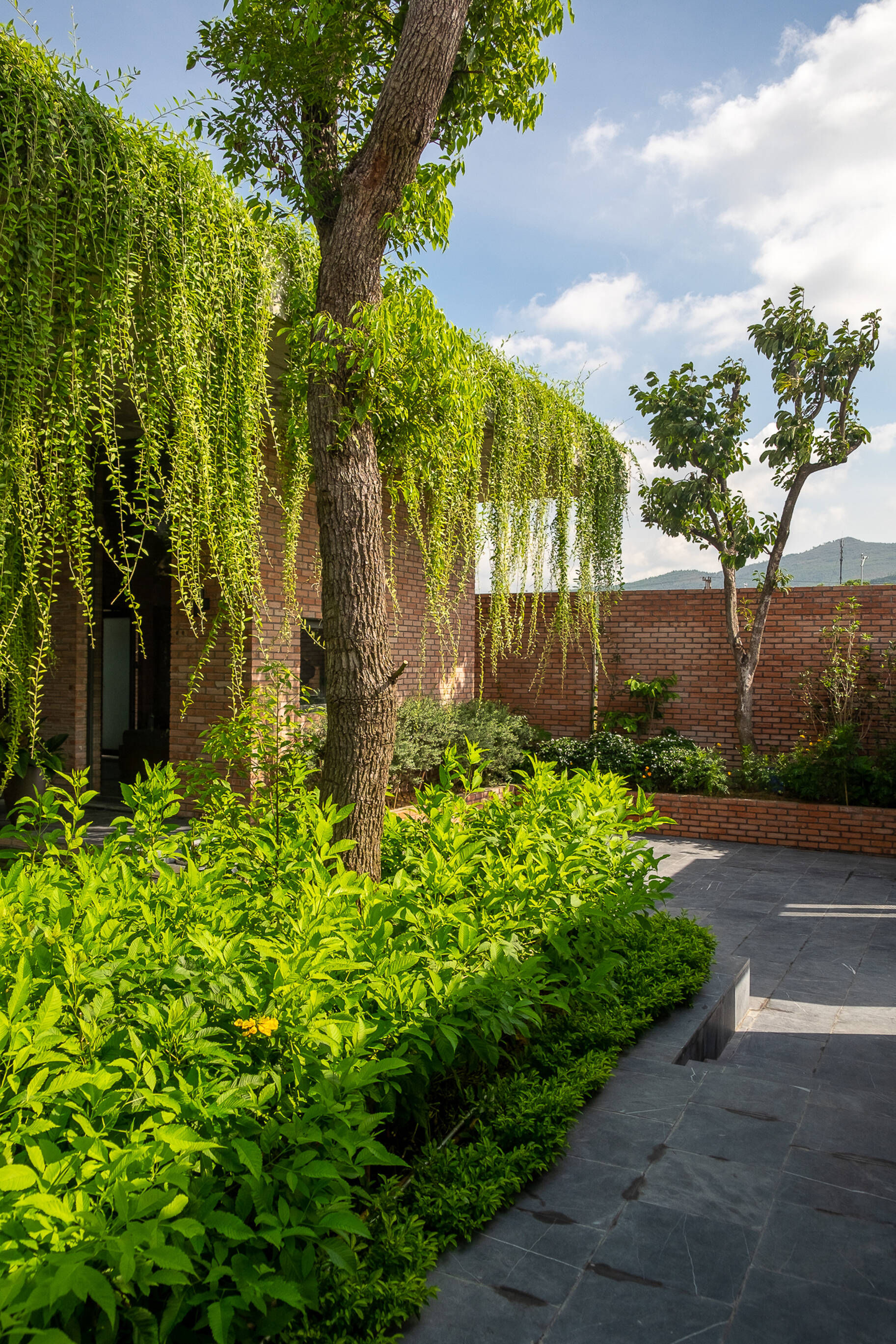 Cây xanh không chỉ có tác dụng chắn nắng, điều hòa không khí mà còn tạo vẻ thẩm mỹ cho ngôi nhà. 