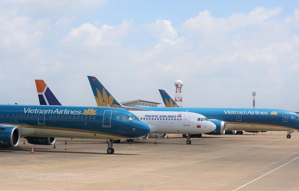 Vietnam Airlines đang chiếm 51,7% thị phần vận chuyển hành khách nội địa. Ảnh: Vietnam 