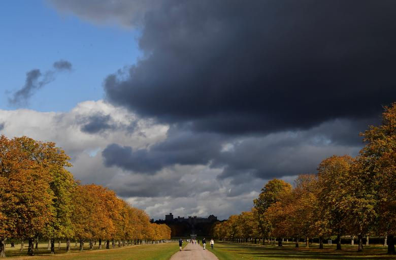 Màu sắc của tán lá mùa thu được nhìn thấy dọc theo Long Walk, với Lâu đài Windsor được nhìn thấy phía sau, Windsor, Anh, ngày 1/10.