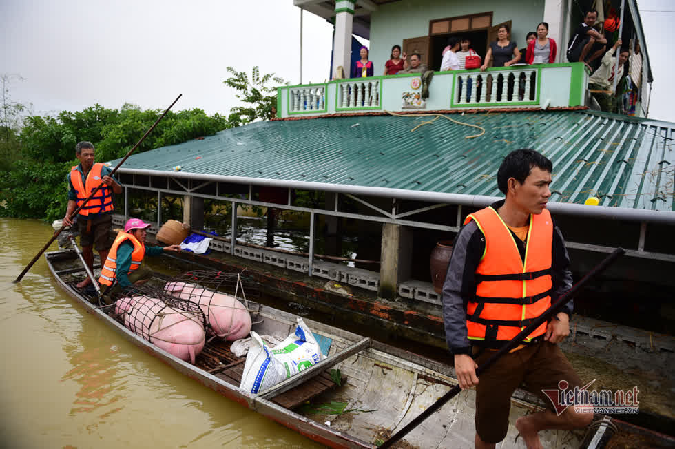 Mưa lớn kéo dài khiến nước tại Quảng Bình lên cao làm ngập hơn 71.000 nhà dân. Ảnh: Thanh Tùng