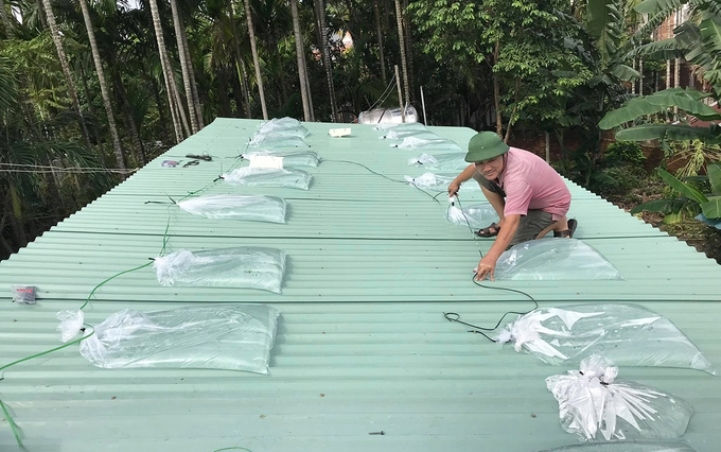 Hàng chục bao tải các được người dân đưa lên mái nhà.