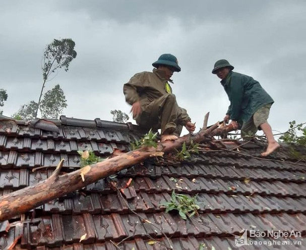 Người dân tranh thủ sửa nhà ngay trong mưa vì sợ không có nơi trú ẩn. Ảnh: Báo Nghệ An