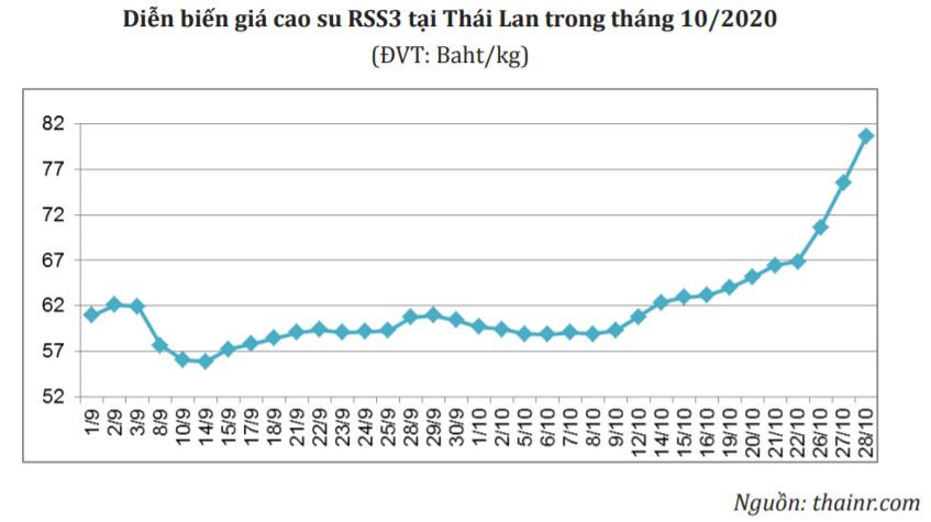Thời tiết xấu đã đẩy giá cao su Thái Lan lên mức cao nhất trong vòng 3 năm qua