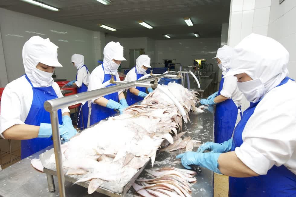 Ngành khai thác, chế biến hải sản tại Việt Nam gần đây đang đối mặt với nhiều khó khăn do công nghệ lạc hậu. Ảnh: N.Nguyên