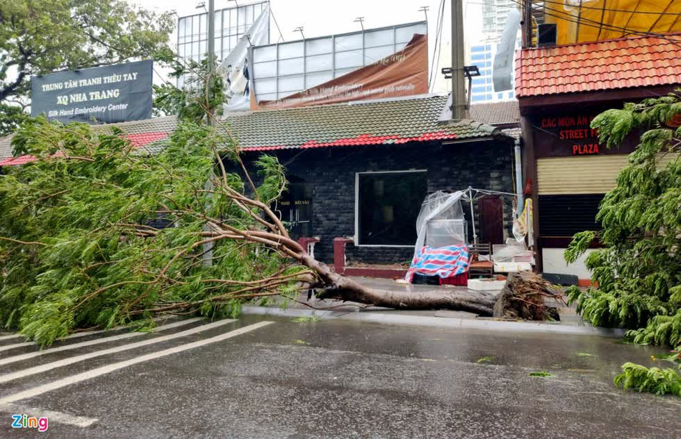 Gió bão giật mạnh khiến nhiều cây ven đường phố TP. Nha Trang gãy đổ. Ảnh: Zing