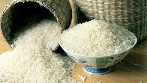 Giá lúa gạo năm nay cao hơn năm trước từ 300 đến 1.000 đồng/kg