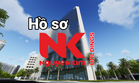 Nguyễn Kim Holdings liên quan trong sai phạm của ông Tất Thành Cang là công ty nào?