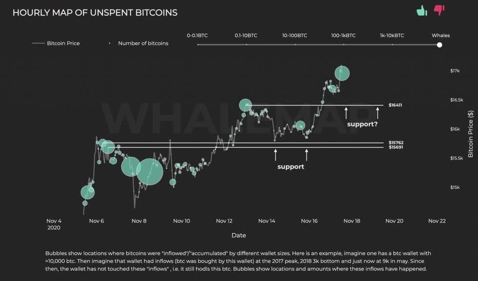 Bitcoin chưa sử dụng tại mỗi cụm cá voi. Nguồn: Whalemap.