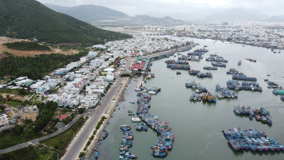   Khánh Hòa có 450 tàu cá đánh bắt ở vùng biển xa bờ. Ảnh: Đời sống và Pháp lý.  