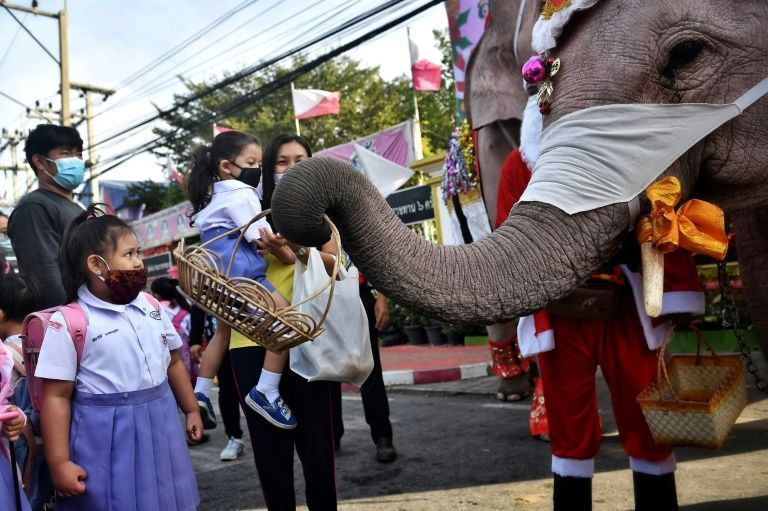 Ông già Noel tại Thái Lan cưỡi voi phát khẩu trang để nâng ý thức phòng dịch COVID-19