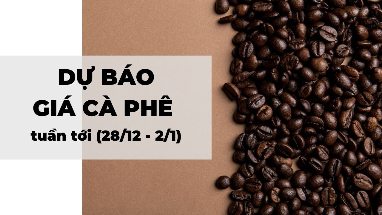 Dự báo giá cà phê tuần tới (28/12 - 2/1): Nguồn cung khan hiếm có thể đẩy giá cà phê lên cao