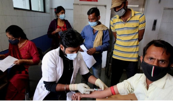 Một bác sĩ thu thập mẫu máu từ một tình nguyện viên ở Ấn Độ, trước khi anh ta tiêm vaccine COVID-19 Covaxin. Ảnh: EPA.