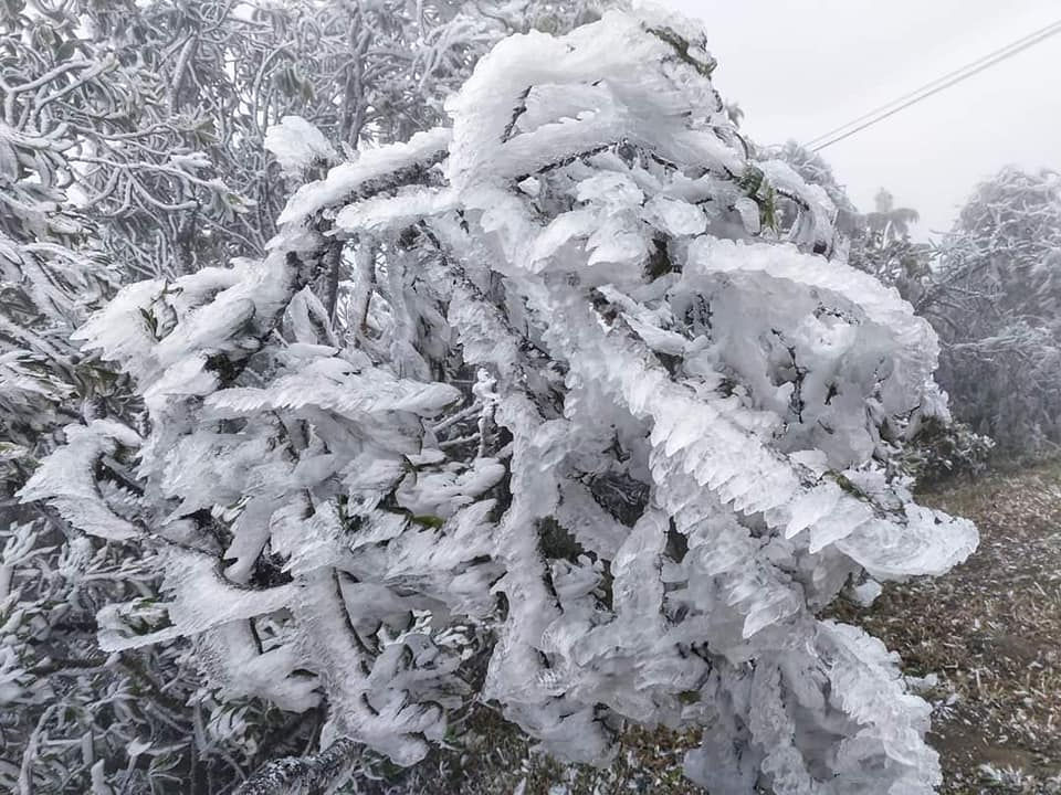   Do nhiệt độ giảm liên tục, nên lớp băng tuyết trên khu vực Mẫu Sơn dày từ 3 đến 4 mm, làm gãy các cành cây, đứt đường dây điện thoại liên lạc. Hiện, cơ quan chức năng vẫn chưa thống kê được thiệt hại do băng tuyết gây ra.  