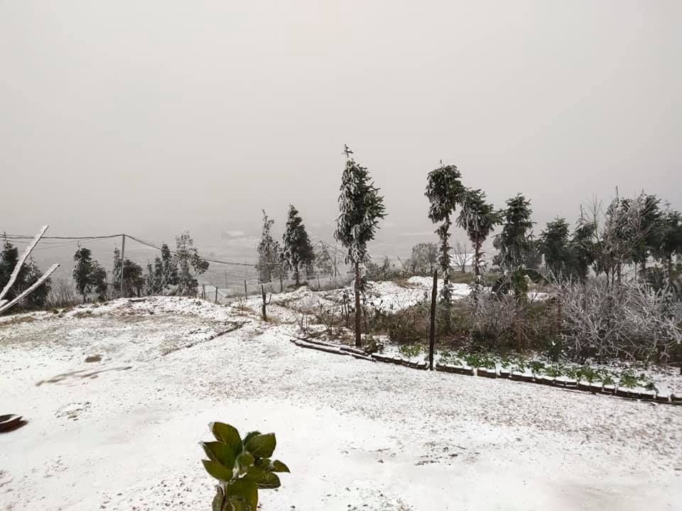 Sáng 11/1, người dân ở xã Y Tý (huyện Bát Xát, tỉnh  Lào Cai ) chia sẻ, mưa tuyết bắt đầu rơi từ 22h ngày 10/1 nhưng chưa dày đặc. Đến sáng nay, tuyết rơi nhiều hơn, phủ trắng cả Y Tý. 