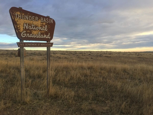 Đồng cỏ Quốc gia lưu vực Wyoming, nơi đã được cấp phép đặt 30 giếng khoan. Ảnh: Internet