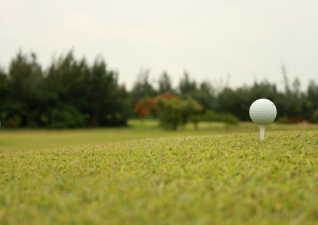 Bà Rịa - Vũng Tàu có 5 dự án đầu tư sân golf. Ảnh: Vũng Tàu Paradise.