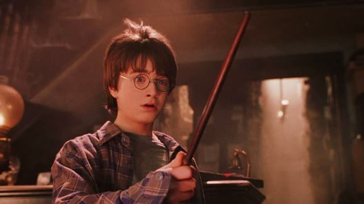 106829400-1611594508242-harry-tries-out-his-wand_cropped.jpg