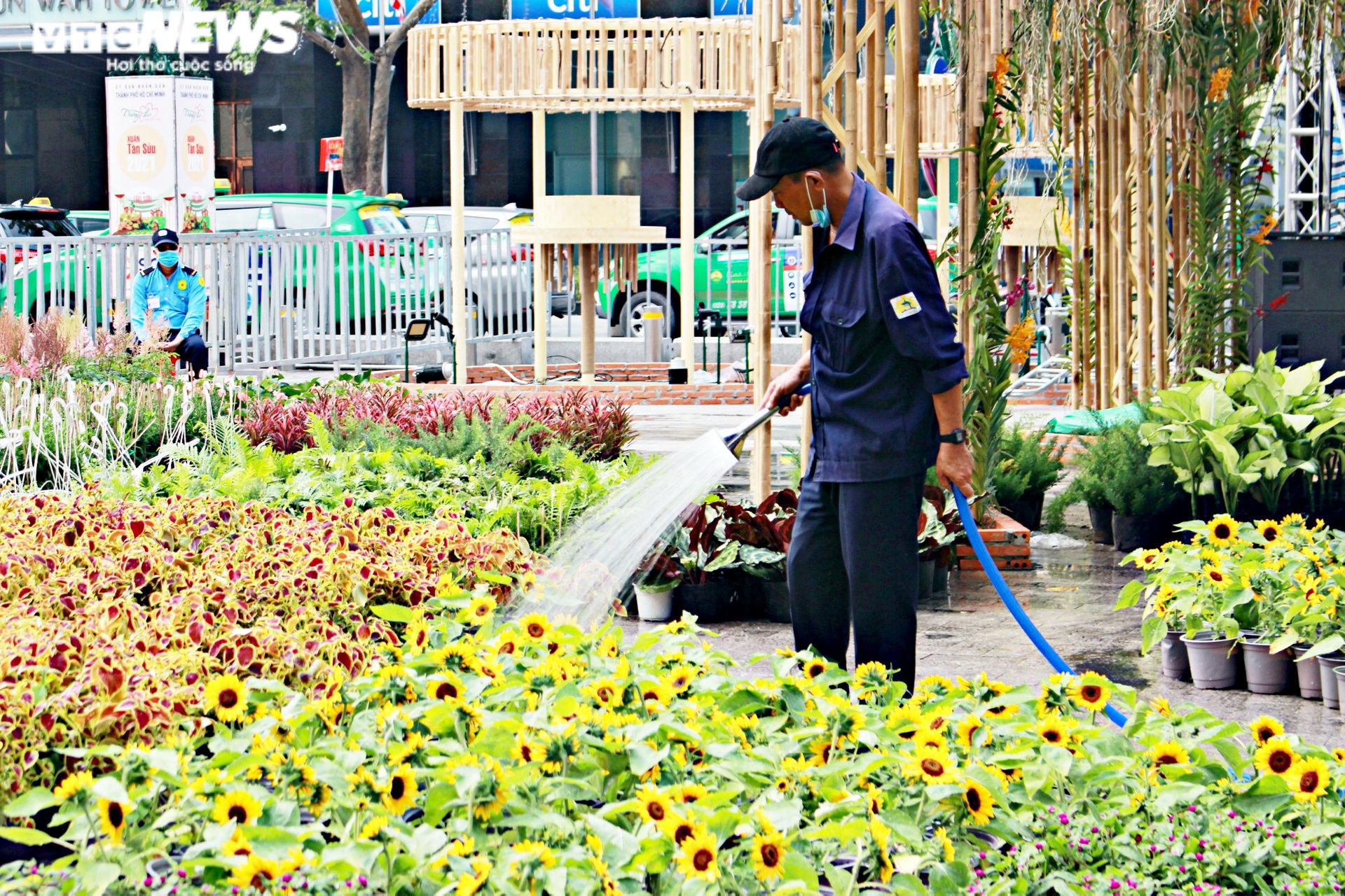 Công nhân gấp rút hoàn thiện những hạng mục cuối cùng của đường hoa Nguyễn Huệ - 11