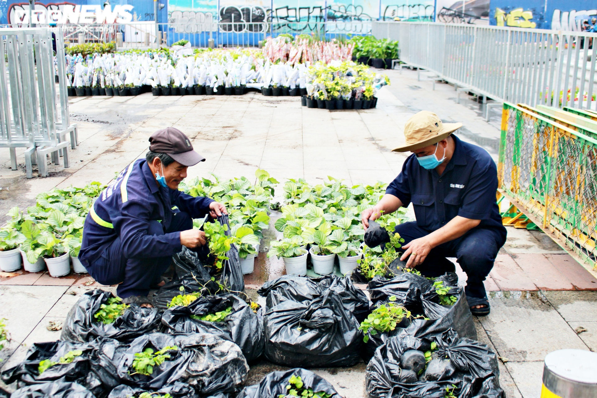 Công nhân gấp rút hoàn thiện những hạng mục cuối cùng của đường hoa Nguyễn Huệ - 8