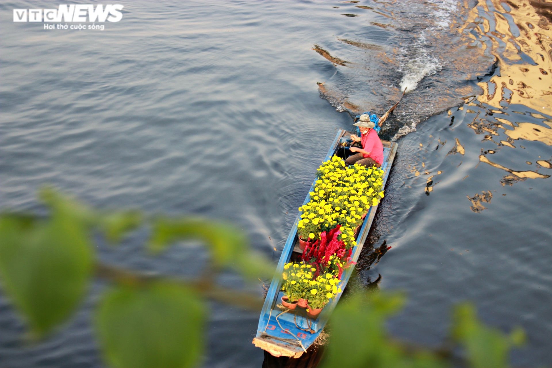 Ảnh: Rực rỡ chợ hoa 'Trên bến, dưới thuyền' ở Sài Gòn - 3